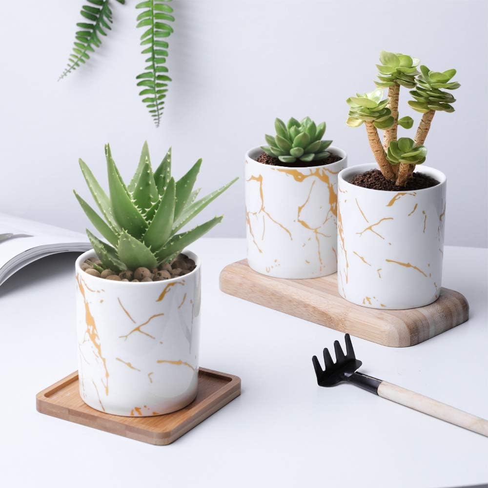 6 Vasi Rotondi Per Piante Grasse Con Vassoio In Bambù - Set Decorativo Per Casa E Ufficio - Foto 7