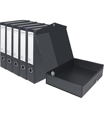 Amazon.com: Leitz Premium archive box with flap, 10 pieces, 100