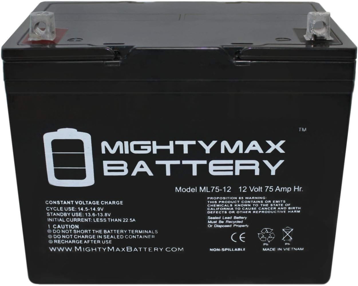 Mighty Max Battery 12V 75Ah SLA Battery for Wayne ESP25 Back-Up Pump Brand Product: Electronics