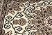 Oriental Traditional Isfahan Persian Area Rugs Ivory Cream 2 x 7'6