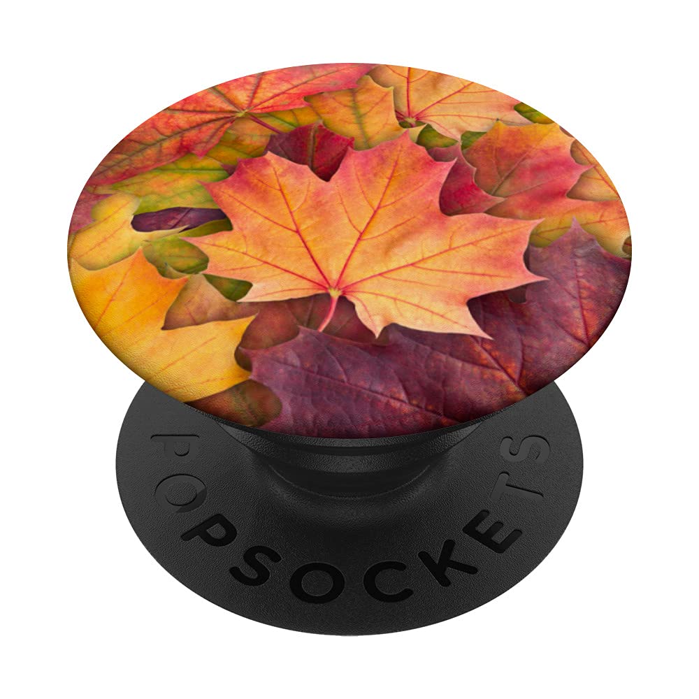 Autumn Leaves Falling Autumn Leaf Nature PopSockets Swappable PopGrip