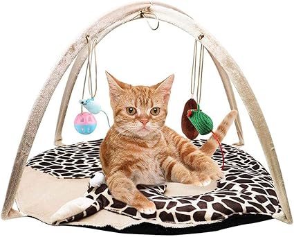 Martialart Chaton Lit Tapis De Chat Cat Playing Parc D Attractions D Interieur Et D Exterieur Tapis De Couchage Pour Animal Domestique Amazon Fr Bricolage