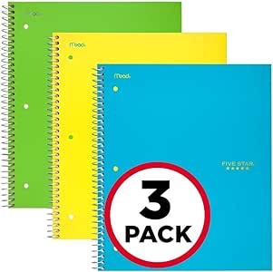 38629 essay 08 image