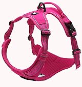 Truelove TLH5651 No-Pull Reflective Dog Harness Fuchsia Large view 1