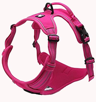 Truelove TLH5651 No-Pull Reflective Dog Harness Fuchsia Large