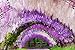 e-joy 24 Piece Realistic Artificial Silk Wisteria Vine Ratta Silk Hanging Flower Plant for Home Party Wedding Decor and Other Various Events, Each White