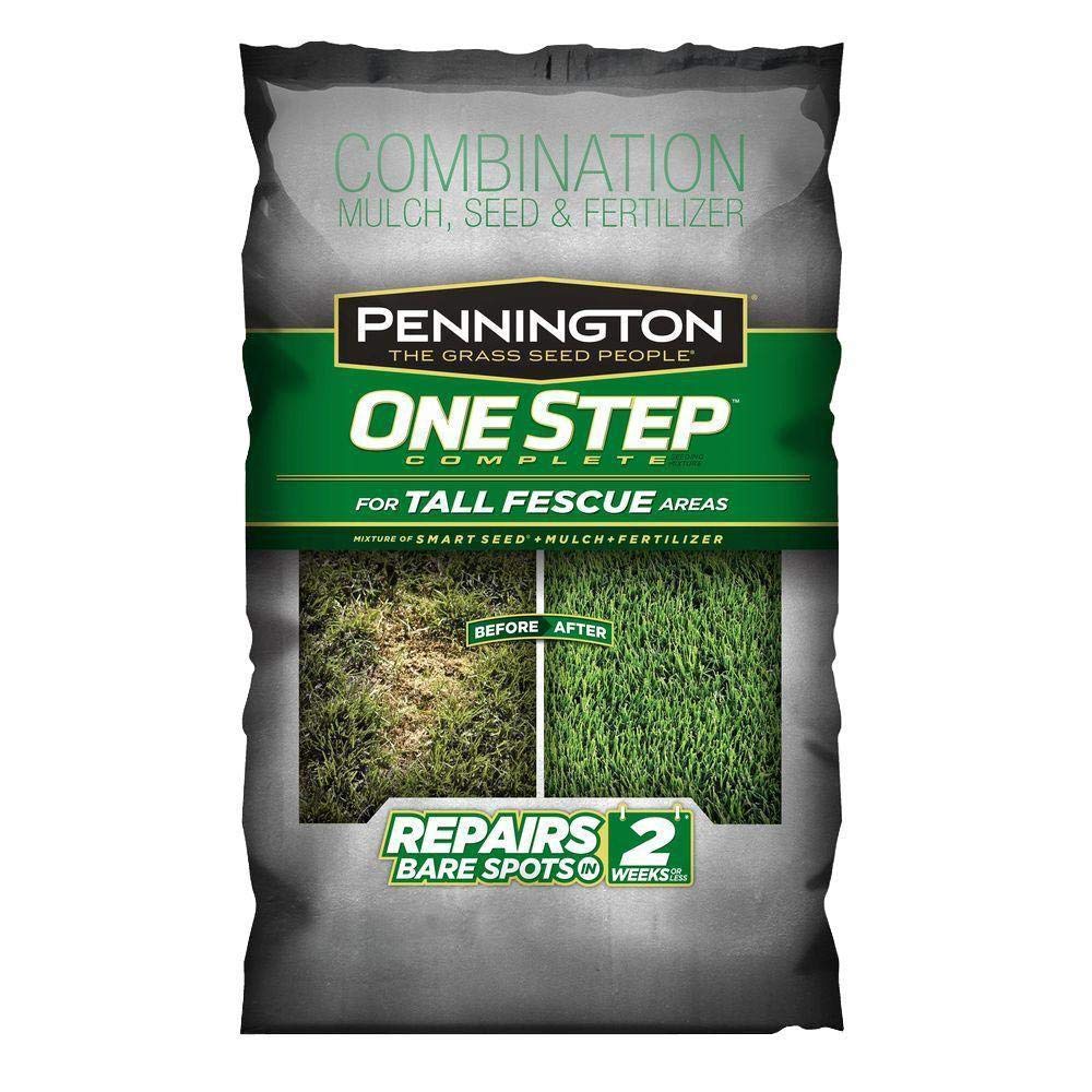 Pennington Seed Fba 100522284 8 3 Lb Tall Fescue Blend Ne Step Complete Sm Brown A Buy Online In India At Desertcart In Productid 38550659