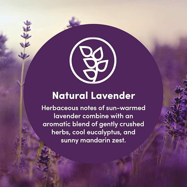 CLEAN REVOLUTION FOAMING HAND SOAP REFILL SUPPLY CONTAINER. READY TO USE FORMULA. NATURAL LAVENDER FRAGRANCE, 128 FL. OZ