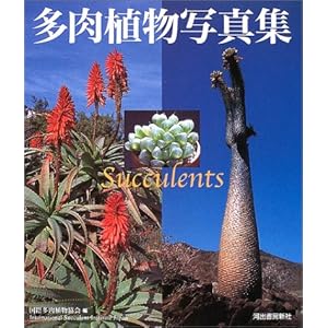 Succulent Photos