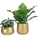 Vixdonos Gold Metal Flower Pots Brass-Toned Garden Planters, 7.1/6.3 Inch Indoor Round Succulent Containers, Pack 2 Cactus Pl