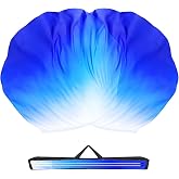 Baisdan 54"x54" Worship Flags for Dance Church, Praise Dance Flags for Worship, Silk-like Chiffon Flag with Flexible Rods &amp; Storage Bag, Set of 2, White-Blue