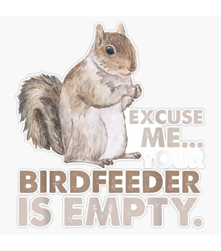 Excuse Me... Your Birdfeeder Is Empty PNG file Excuse Me... Your Birdfeeder Is Empty PNG file