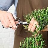 MOSFiATA Bonsai Tools Set 13 Pcs High Carbon Steel Pruning Shears Scissors view 2