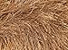 Light Brown Extra Long Eyelash Yarn Ice Luxurious Fun Fur 50gr 38yds 14170