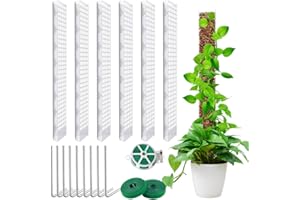 AIQII 6 Pcs 24 Inch Plastic Moss Pole for Plants Monstera,6×24'' Plant Poles for Climbing Plants, Indoor Plants Moss Pole Work with Sphagnum Moss, Plant Support Kit for Climbing Plants