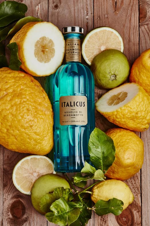ITALICUS Rosolio Di Bergamotto, Likör mit Bergamotte, ideal als Aperitif oder Cocktail-Basis, 1 x 0,7 L 6