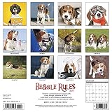 Image de Beagle Rules 2017 Wall Calendar