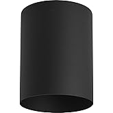 Progress Lighting 5-Inch Cylinder Outdoor Ceiling Light, 1-Light Modern Flush Mount Ceiling Light Fixture, Interior and Exter