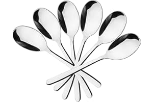Vcansay 6 Packs Stainless Steel Serving Spoons, Large Buffet Serving Spoon