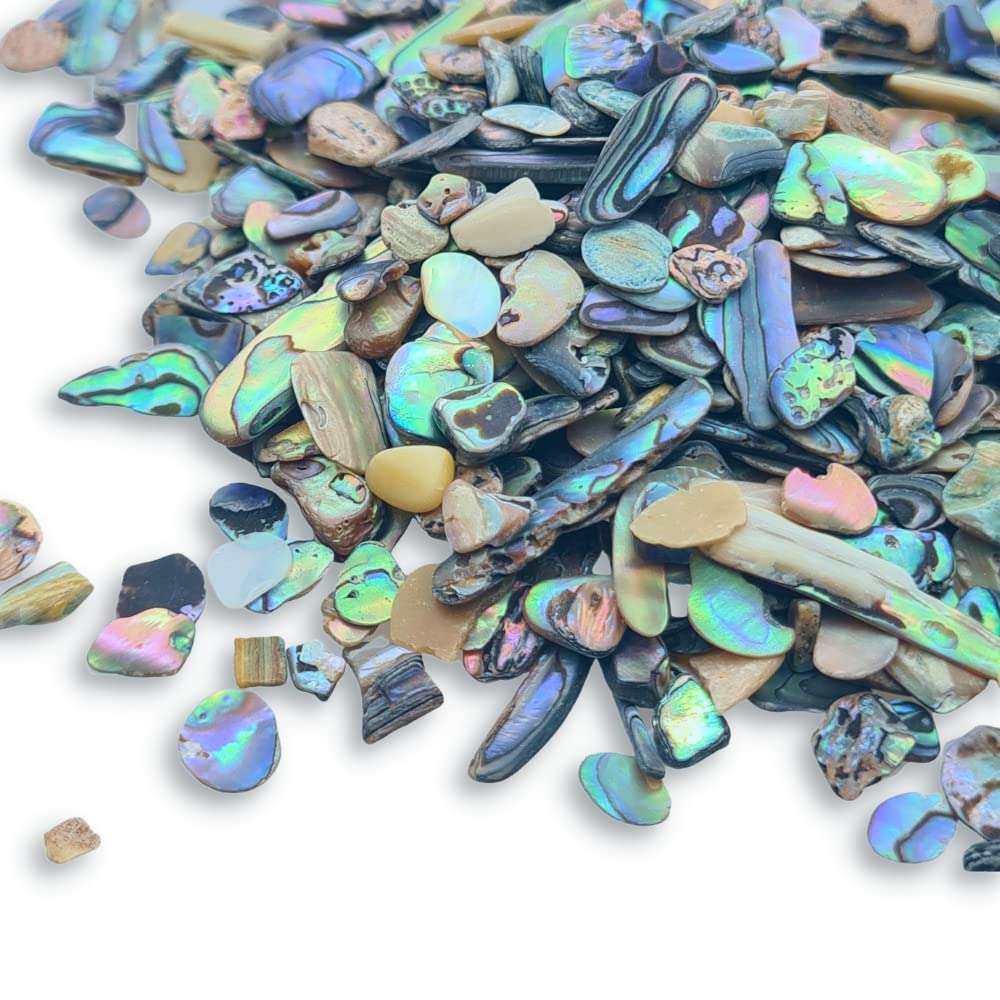 Abalone New Zealand Paua Shell - Natural Polished Tumbled Sea Shell Pieces for Inlay, Decoration, Resin Art, Jewelry (20g Paua Shell Chips 3-5mm)