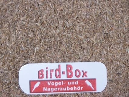 Bird-Box Grassamen 1 kg