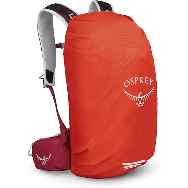 OSPREY エアカバー 旧型 ザックカバー Airplane Case Osprey Airporter Protector for Backpack : Amazon.ca: Sports & Outdoors