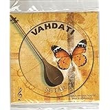 Persian Setar Strings