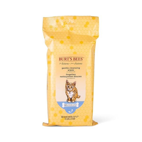 BURT’S BEES FOR PETS KITTEN GROOMING WIPES WITH BUTTERMILK AND HONEY, WATERLESS CAT BATH WIPES FOR FACE, PAWS, TAIL AND COAT CLEANING, GENTLE BATH ALTERNATIVE FOR INDOOR FELINES, 50 COUNT