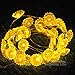 Impress Life Sunflower String Lights with Remote and Battery,Spring Decor 10ft 40LEDs Helianthus Fairy Lights for Garden Patio Balcony Gazebo