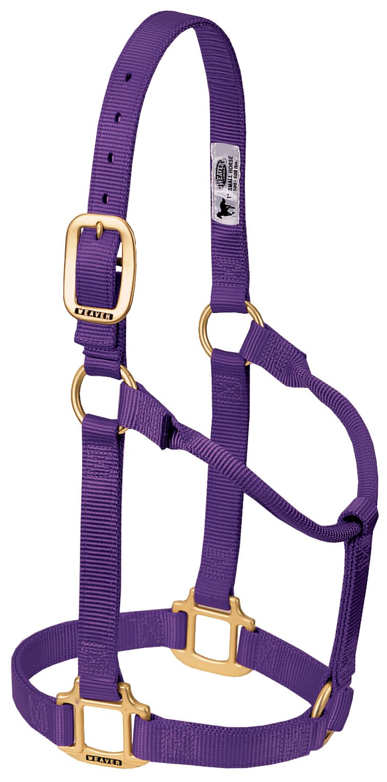 Weaver Leather Original Non-Adjustable Nylon Horse Halter Purple, Weanling/Pony