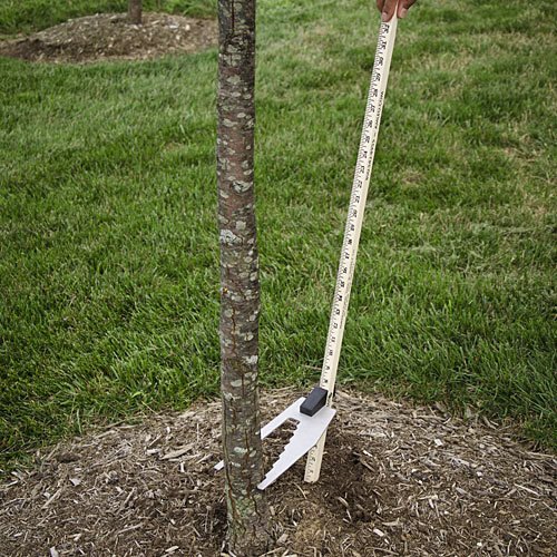 AM Leonard PTC2 Handled Tree Caliper White Home Improvement