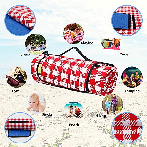 Three Donkeys Machine Washable Extra Large Picnic & Beach Blanket Handy Mat Plus Thick Dual