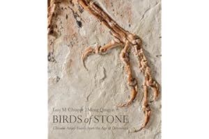 Birds of Stone: Chinese Avian Fossils from the Age of Dinosaurs