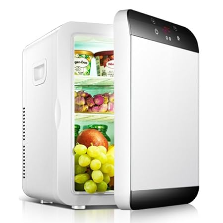 MENUDOWN Nevera de Coche para Hombre, Nevera, Nevera de frío ...