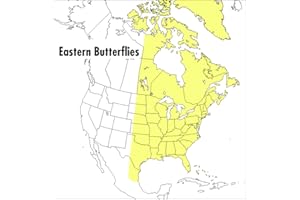 A Peterson Field Guide To Eastern Butterflies: The Definitive Guide to 524 Species with Color Paintings and Field Marks