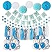 Litaus Frozen Theme White and Blue Party Decorations for Girls, Balloons, Pom Poms Flowers, Birthday Banner, Paper Garland, Tassels for 1st Birthday Girl Decorations Kids Birthday