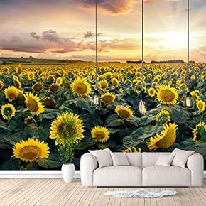 Wall Murals for Bedroom Beautiful Pictures Collection Removable Wallpaper Peel and Stick Wall Stickers - 66x96 inches