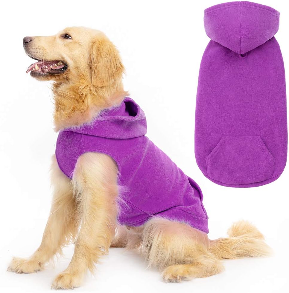 hoodie with dog