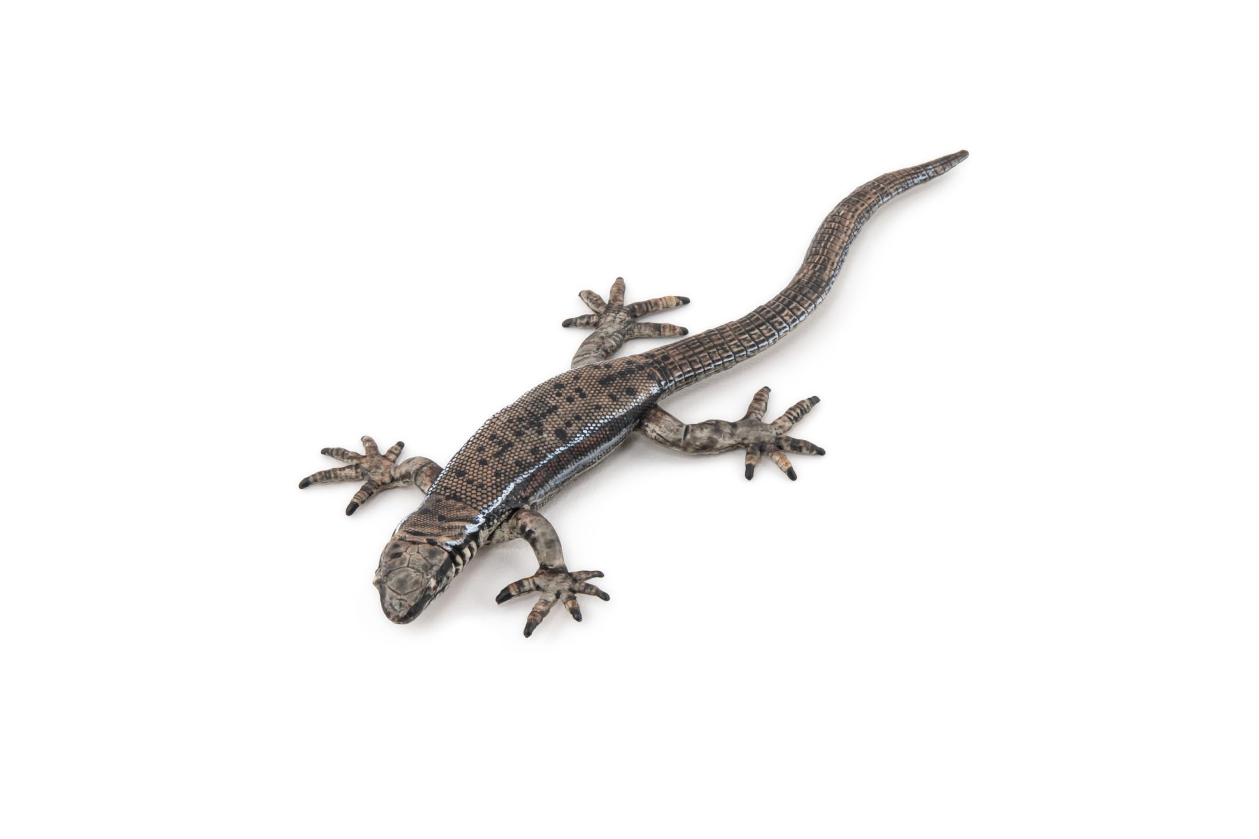 Papo - Realistic Common Lizard Figure - Ages 3+ - Nature & Reptiles Collection - Educational Play Garden Reptiles - Gift Idea Toy for Girls and Boys - 11.1 Cm X 4.5 Cm X 1.3 Cm