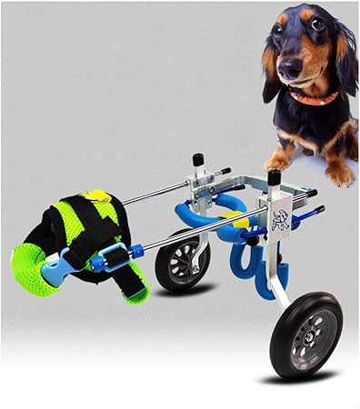silla de ruedas para perros amazon