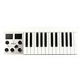 Mellotron Micro Digital Synthesizer