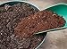 Nature's Footprint 650g Coconut Coir Brick
