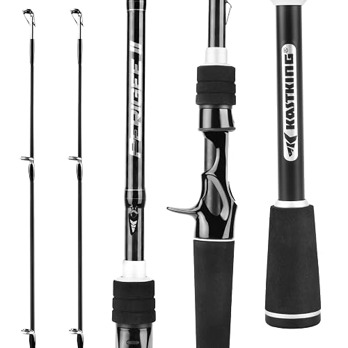 Two Perplex Rods Spin KastKing Perigee II Spinning & Casting Fishing Rods, Fuji O-Ring Line ...