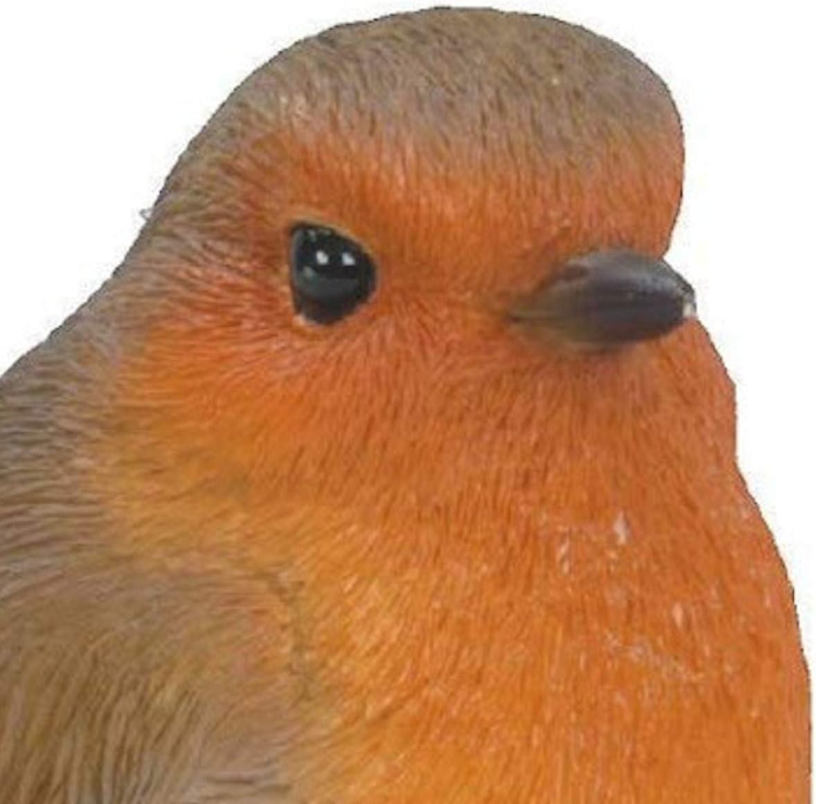 Vivid Arts British Birds Robin Size F, Red - Image 3