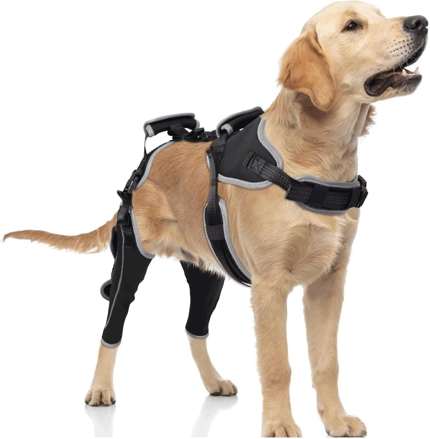 Photo 1 of TIPOOP Dog Knee Brace for ACL/CCL Injuries,Torn Ligament,Luxating Patella - Rear Leg Support,Pain Relief,Joint Warmth,Black,Upgraded,Both Legs,Size:L