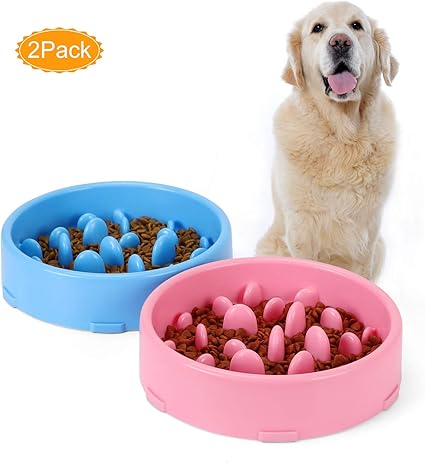 Amazon Com Jasgood Dog Feeder Slow Eating Pet Bowl Eco Friendly