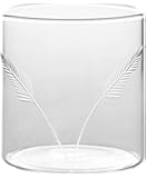 Borosil VDFT305 Vision Deco Fern Tumbler (Set of 6), 10 oz (300ml), Glass