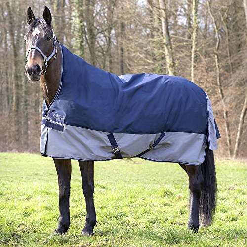 Horses 6ft UK SELLER BAX Equine Heavy Weight Horse Turn Out Rug Winter