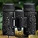 Wingspan Optics RuggedEagle 8X32 Compact Binoculars for Bird Watching. Pocket-Size, Waterproof and Ultra-Lightweight for the Go-Anywhere Traveler. Experience Wood and Stream With Breathtaking Clarity