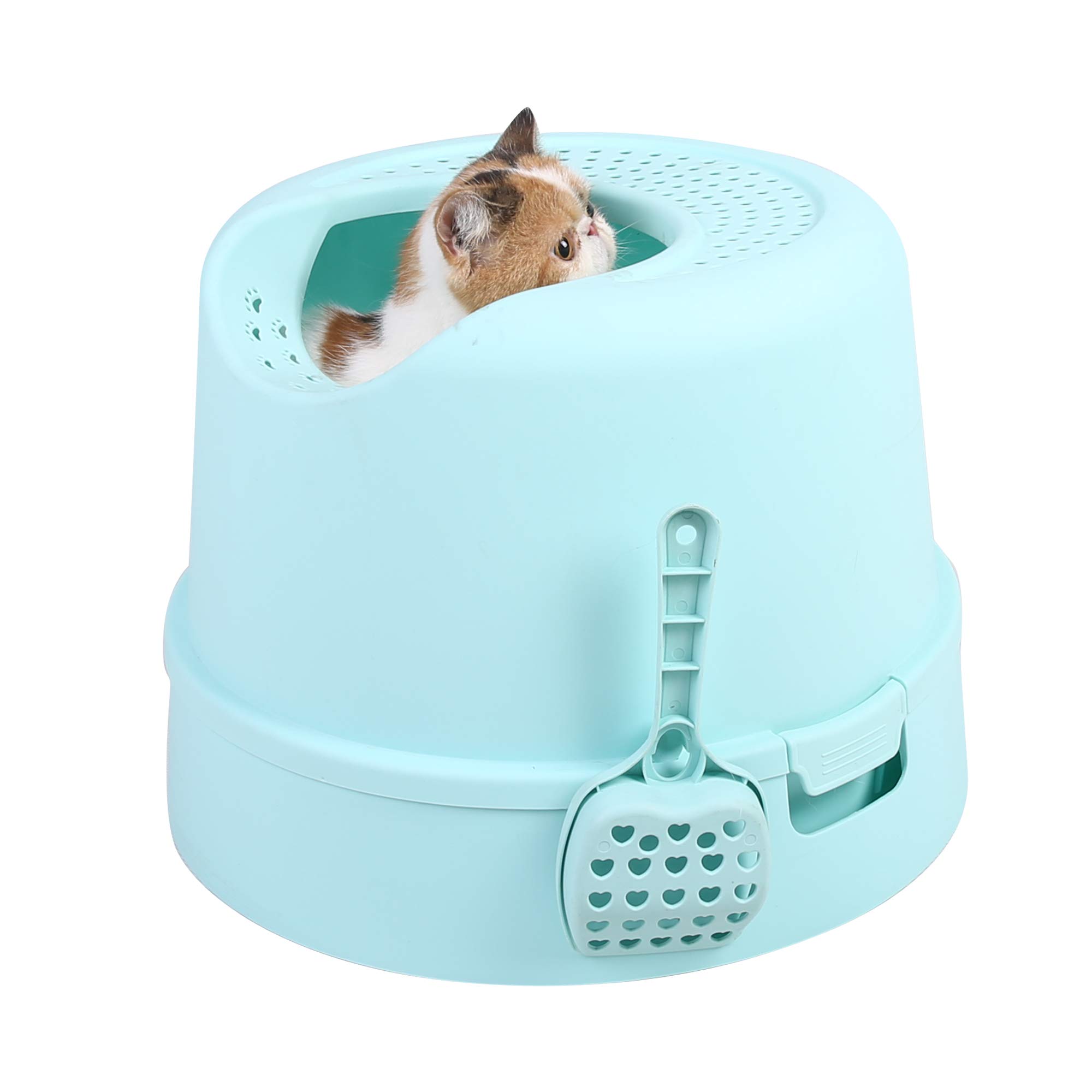 PetnPurr Top Entry Cat Litter Box with Lid and